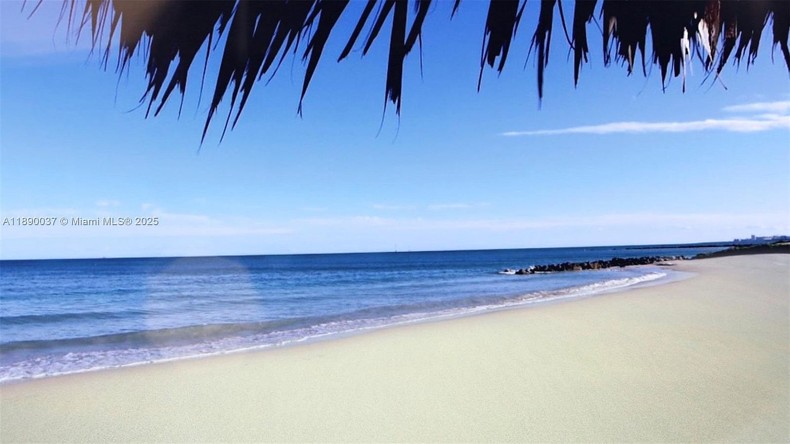 This image showcases a serene beach scene with a clear blue sky and calm ocean waters. The sandy beach stretches into the distance, meeting the gentle waves. Palm fronds hang overhead, framing the view and adding a tropical touch. The overall impression is one of tranquility and natural beauty, perfect for highlighting a waterfront property.