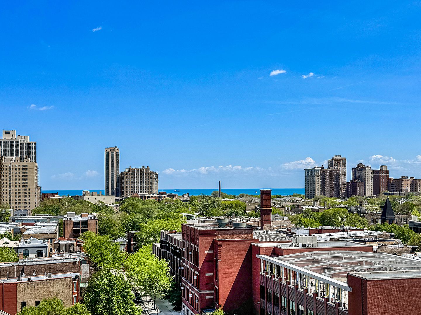 This elevated aerial perspective captures a vibrant urban landscape featuring a mix of historic brick architecture and high-rise residential buildings. Lush green trees fill the mid-ground, creating a pleasant contrast against the dense city structures and the expansive blue horizon of the lake in the distance. The clear sky and bright daylight emphasize the open, airy feel of this city neighborhood.
