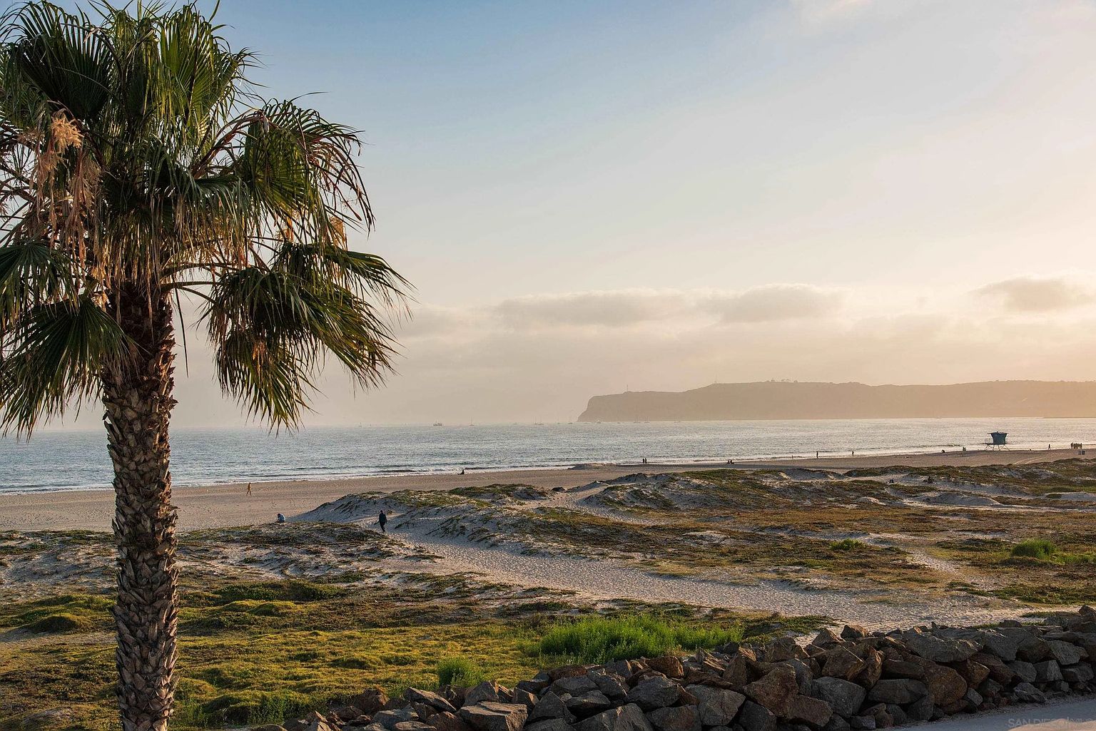 This scenic view captures a coastal landscape featuring a prominent palm tree in the foreground and a sandy beach leading to the ocean. The middle ground showcases natural dunes and vegetation, while a distant headland frames the horizon under a soft, golden-hour sky. The perspective is elevated, offering a serene and expansive look at the local beach access and natural surroundings.