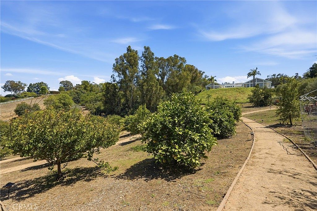 This expansive outdoor space features a winding dirt path that leads through a terraced hillside orchard. The landscape is dotted with mature fruit trees and lush greenery, with a bright, clear blue sky overhead. In the distance, a white house sits atop the hill, providing a scenic backdrop to the natural, sloping terrain.