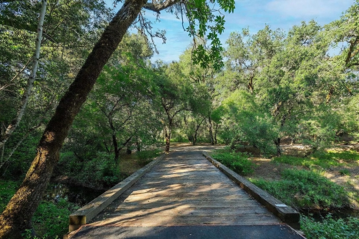 A wooden footbridge stretches across a small, shaded creek, leading into a lush, mature forest filled with dense oak trees. The perspective is from the start of the bridge, drawing the viewer's eye toward the tranquil, sun-dappled woodland path ahead. This serene outdoor setting highlights the natural beauty and privacy of the property's landscape.