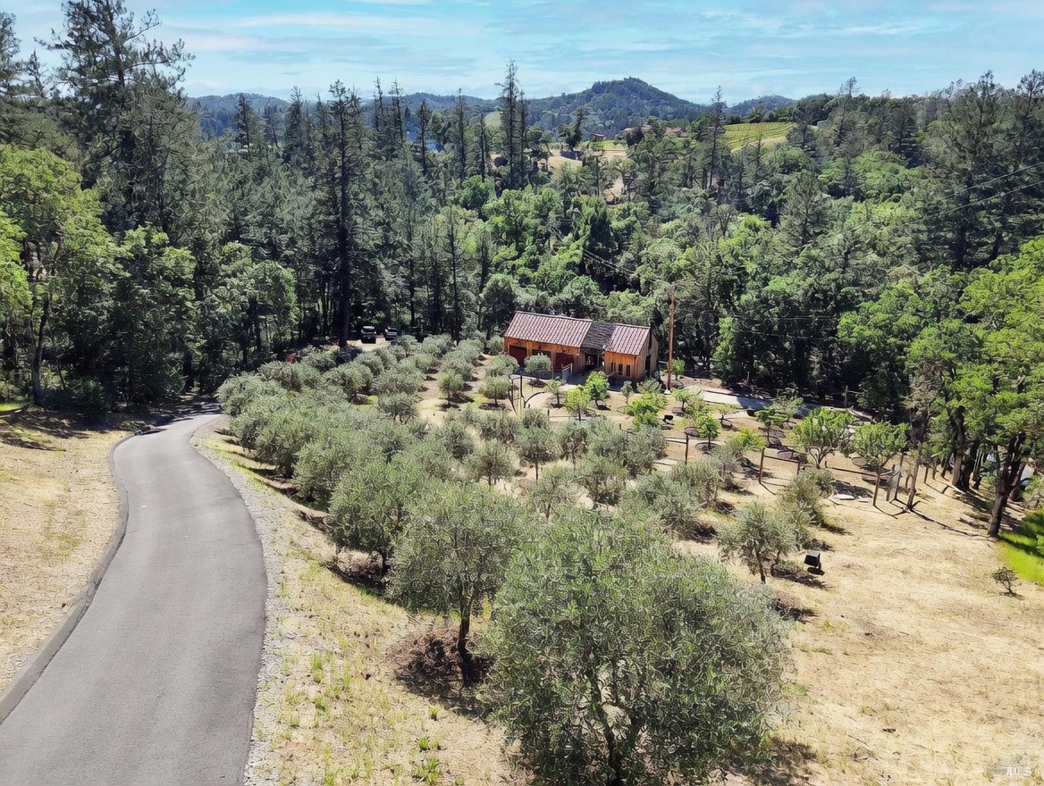 This high-angle aerial shot captures a rustic, wood-sided barn-style home nestled within a lush, tree-lined landscape. The property features an extensive olive orchard arranged in neat rows, with a paved driveway winding through the dry, golden-hued terrain. The scene evokes a serene, rural atmosphere, highlighting the expansive grounds and the integration of the structure into the natural hillside environment.