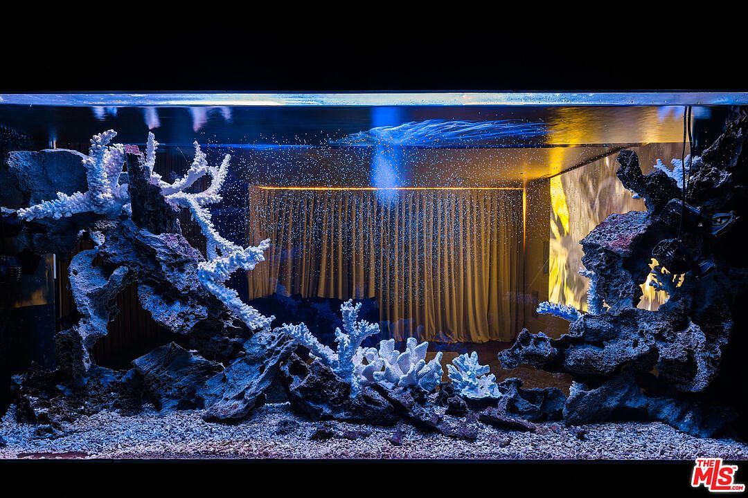 This image showcases a large, built-in saltwater aquarium integrated into a wall, serving as a striking focal point. The tank is filled with white coral structures and dark rock formations, set against a backdrop of a room with warm-toned curtains and ambient lighting. The perspective is a direct, eye-level view that highlights the intricate textures of the reef display and the contrast between the cool blue tones of the water and the warm interior beyond.
