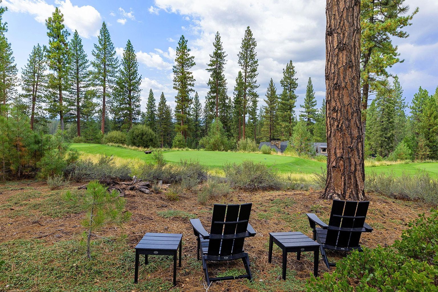 This image showcases a serene backyard setting with a view of a golf course. Two black Adirondack chairs and matching side tables are arranged on a pine needle-covered ground, inviting relaxation. Tall pine trees frame the scene, adding to the natural beauty and privacy of the property, while a glimpse of a house can be seen in the background.