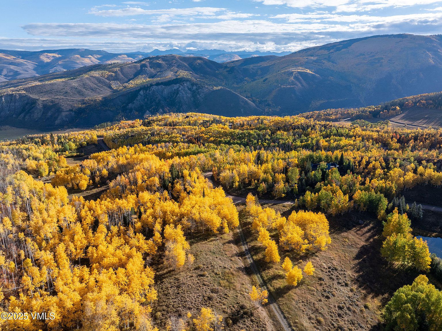 This aerial view showcases a vast landscape featuring rolling hills and mountains in the background. The foreground is dominated by a dense forest with trees displaying vibrant yellow autumn foliage, creating a striking contrast with the brown grassy areas. A winding dirt road cuts through the landscape, adding depth and a sense of exploration.