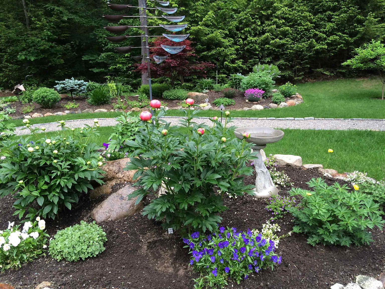 This beautifully landscaped garden features a vibrant peony bush in full bloom as the central focal point, complemented by a stone birdbath and a variety of colorful perennials. A winding gravel path meanders through the lush greenery, leading the eye toward a unique kinetic metal sculpture and a dense, mature forest backdrop. The scene captures a serene and well-maintained outdoor space, perfect for relaxation and nature appreciation.