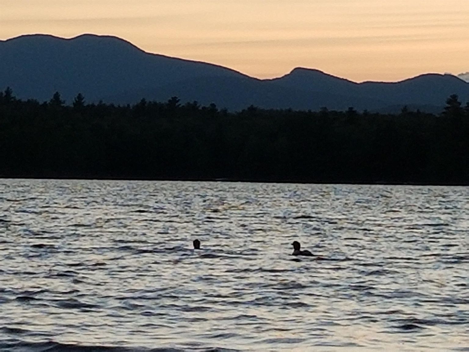 This scenic shot captures a tranquil lake at dusk, featuring two swimmers in the distance against a backdrop of silhouetted mountains and a forest treeline. The soft, warm glow of the sunset reflects across the rippling water, creating a peaceful and serene atmosphere. The perspective is from the water's edge, emphasizing the natural beauty and recreational potential of the waterfront location.