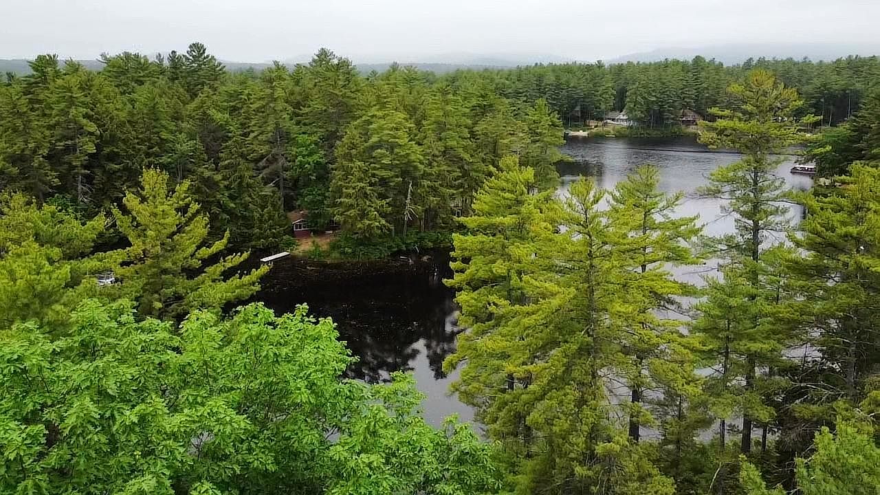 This high-angle aerial shot captures a serene, wooded landscape featuring a calm lake surrounded by dense, lush green pine forests. A small, secluded cabin is nestled among the trees near the water's edge, emphasizing a peaceful and private retreat setting. The perspective provides a cinematic overview of the property's natural surroundings and waterfront access.
