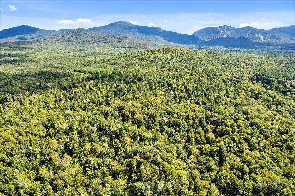 This high-angle aerial view captures a vast, lush forest landscape stretching toward a prominent mountain range under a clear blue sky. The dense canopy displays a mix of green and early autumn foliage, suggesting a serene and secluded natural setting. The perspective emphasizes the expansive scale of the property and its proximity to the rugged, mountainous terrain in the distance.