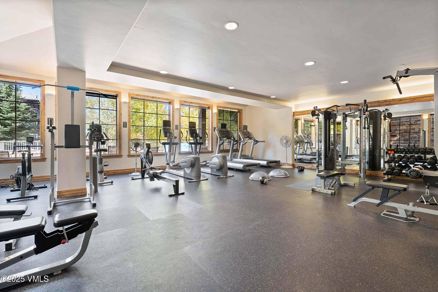 This is a well-equipped home gym featuring a variety of exercise machines including treadmills, elliptical trainers, rowing machines, and weightlifting equipment. The room has large windows providing natural light and a mirrored wall to enhance the sense of space. The flooring is a dark, durable material suitable for exercise activities, creating a functional and inviting workout environment.