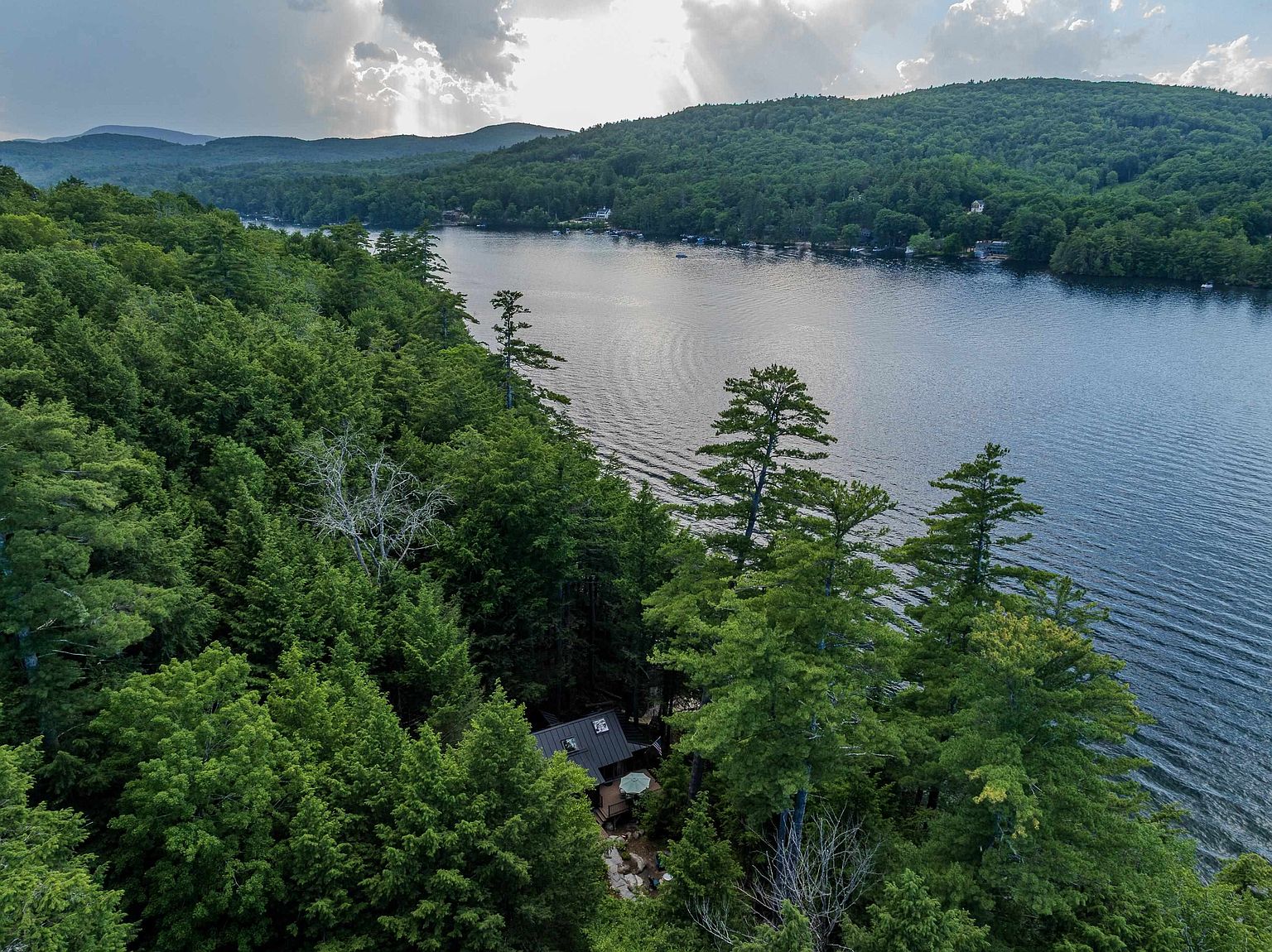 This high-angle aerial shot captures a secluded cabin nestled deep within a dense, lush forest along the edge of a serene lake. The perspective highlights the property's private, tranquil setting, with the dark-roofed structure partially obscured by tall pine trees. In the background, rolling hills and a vast, reflective body of water create a picturesque and peaceful landscape.