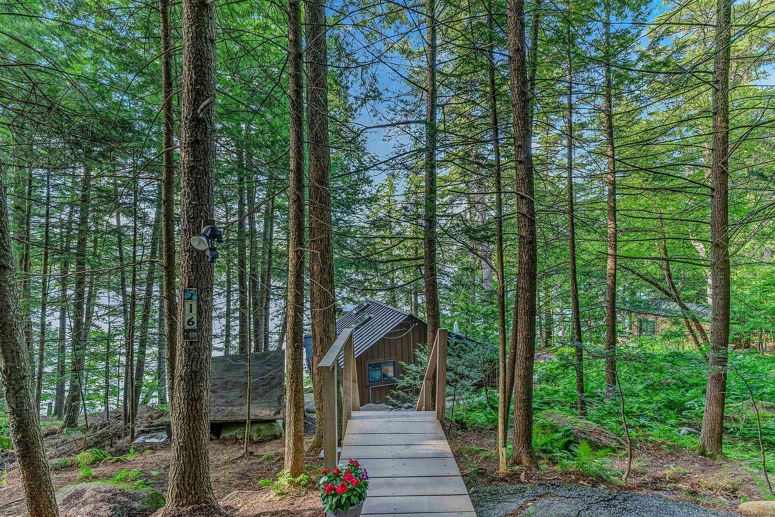 This image captures a rustic, wooded entryway featuring a wooden footbridge that leads down toward a cabin nestled among dense trees. A house number sign is mounted on a nearby tree, and a vibrant potted plant sits at the start of the bridge, adding a touch of color to the natural forest setting. The perspective is from a slightly elevated position, looking down the path toward the secluded dwelling.