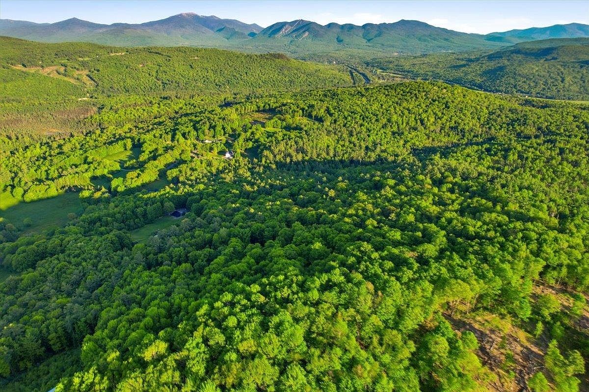 This high-angle aerial perspective captures a vast, lush landscape dominated by dense, vibrant green forest and rolling hills. In the distance, a majestic mountain range stretches across the horizon under a clear blue sky, providing a dramatic backdrop to the property. A small clearing nestled within the trees reveals a secluded residential structure, emphasizing the property's privacy and connection to nature.