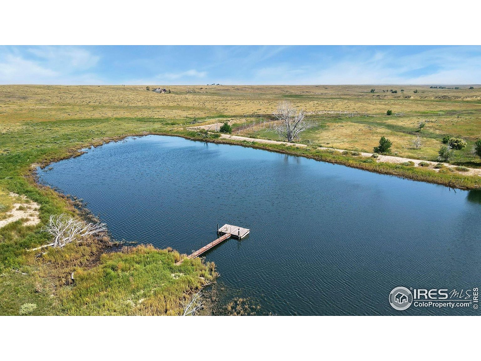 This aerial view showcases a serene pond with a wooden dock extending into the water. The surrounding landscape features grassy fields and scattered trees, creating a peaceful and natural setting. The image highlights the property's water feature and expansive outdoor space.