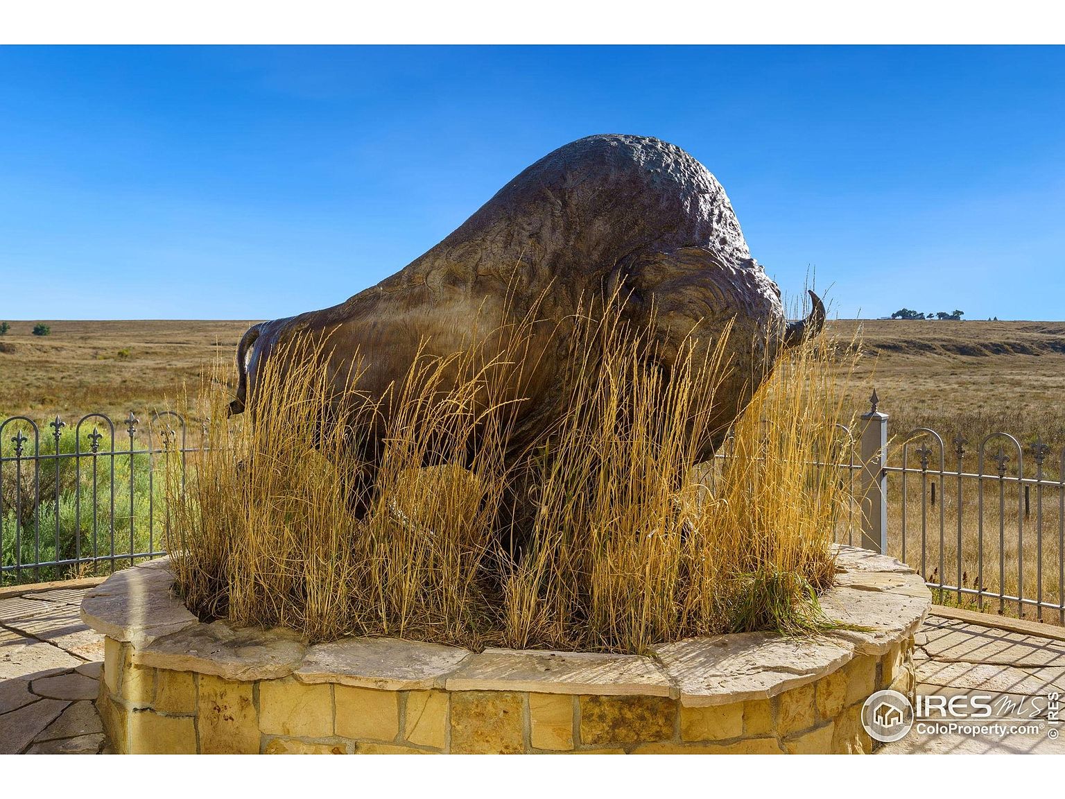 The image showcases a bronze bison statue as a yard feature, surrounded by tall grass and a low stone wall. A decorative metal fence encloses the area, with a vast, dry landscape and clear blue sky in the background. The scene evokes a sense of rustic elegance and spaciousness.
