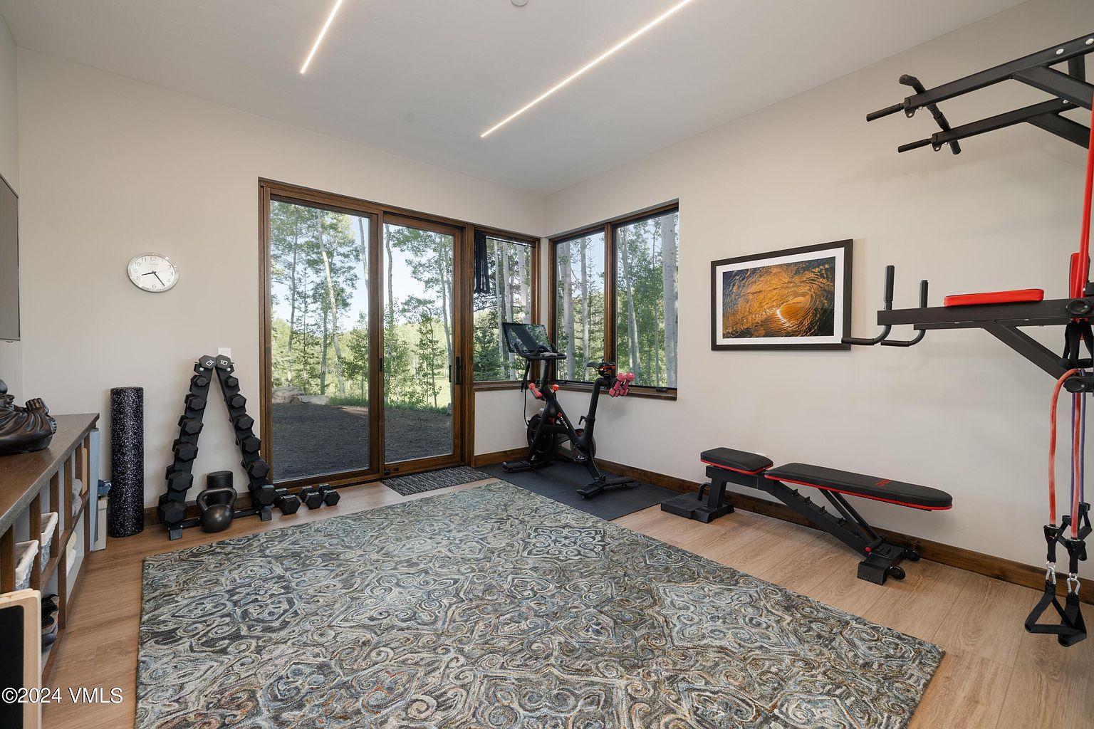 This is an interior shot of a well-equipped home gym. The room features a stationary bike, weight rack with dumbbells, a workout bench, and a pull-up/dip station. A large area rug covers the wood floor, and natural light streams in through the windows and sliding glass doors, creating an inviting workout space.