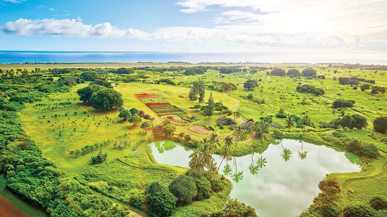This is an aerial view showcasing a lush green landscape, possibly a golf course or resort property. A serene pond with palm trees adds to the scenic beauty. The image offers a captivating overview, highlighting the estate's expansive grounds and tranquil atmosphere, ideal for a discerning buyer seeking privacy and natural elegance.