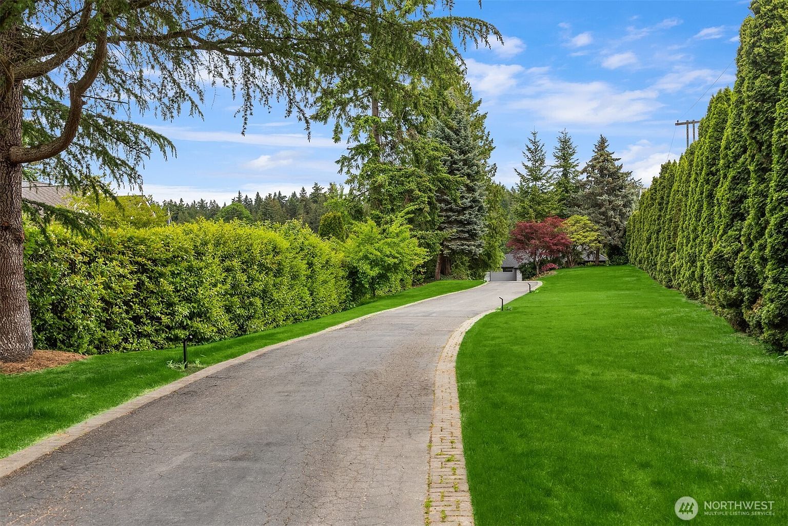 This image captures a long, paved driveway leading toward a residence, framed by lush, manicured green lawns and tall, dense privacy hedges. The perspective is from the entrance of the property, looking down the winding path that is bordered by a decorative brick edge. The scene is bright and inviting, showcasing a well-maintained landscape with mature trees and a clear blue sky.