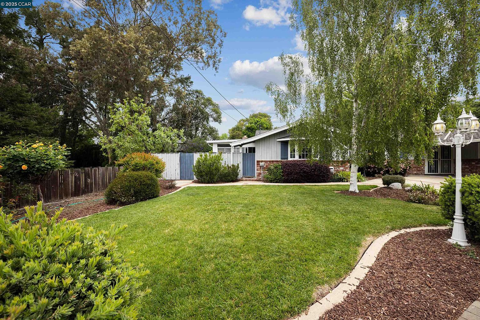 This is a front exterior view of a single-story home with a well-manicured lawn. The house features a light gray facade with dark blue shutters and a matching front door. A mature birch tree stands prominently in the front yard, adding to the property's curb appeal, and a white fence encloses part of the yard.
