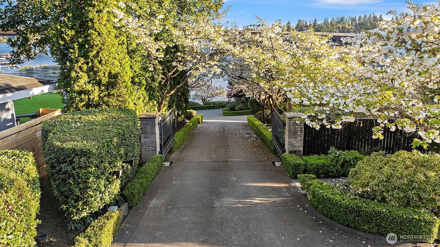 This image captures a private, paved driveway leading down toward a waterfront view, framed by lush, manicured hedges and blooming white cherry blossom trees. The perspective is from the top of the driveway looking down through a gated entrance, creating a welcoming and secluded atmosphere. The scene is bathed in warm, golden-hour sunlight, highlighting the vibrant greenery and the serene transition from the residential property to the water beyond.