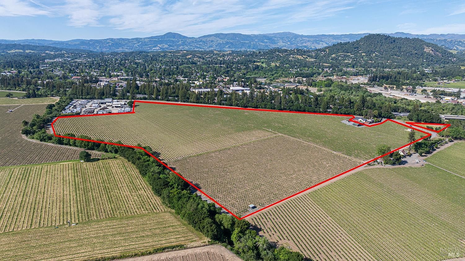 This high-angle aerial view showcases a vast vineyard property outlined in red, highlighting its expansive agricultural land and rural setting. The property features rows of grapevines, a cluster of structures on the right, and a commercial-style facility on the left, all set against a backdrop of rolling hills and a clear blue sky. The perspective provides a comprehensive overview of the land's scale and its integration into the surrounding landscape.