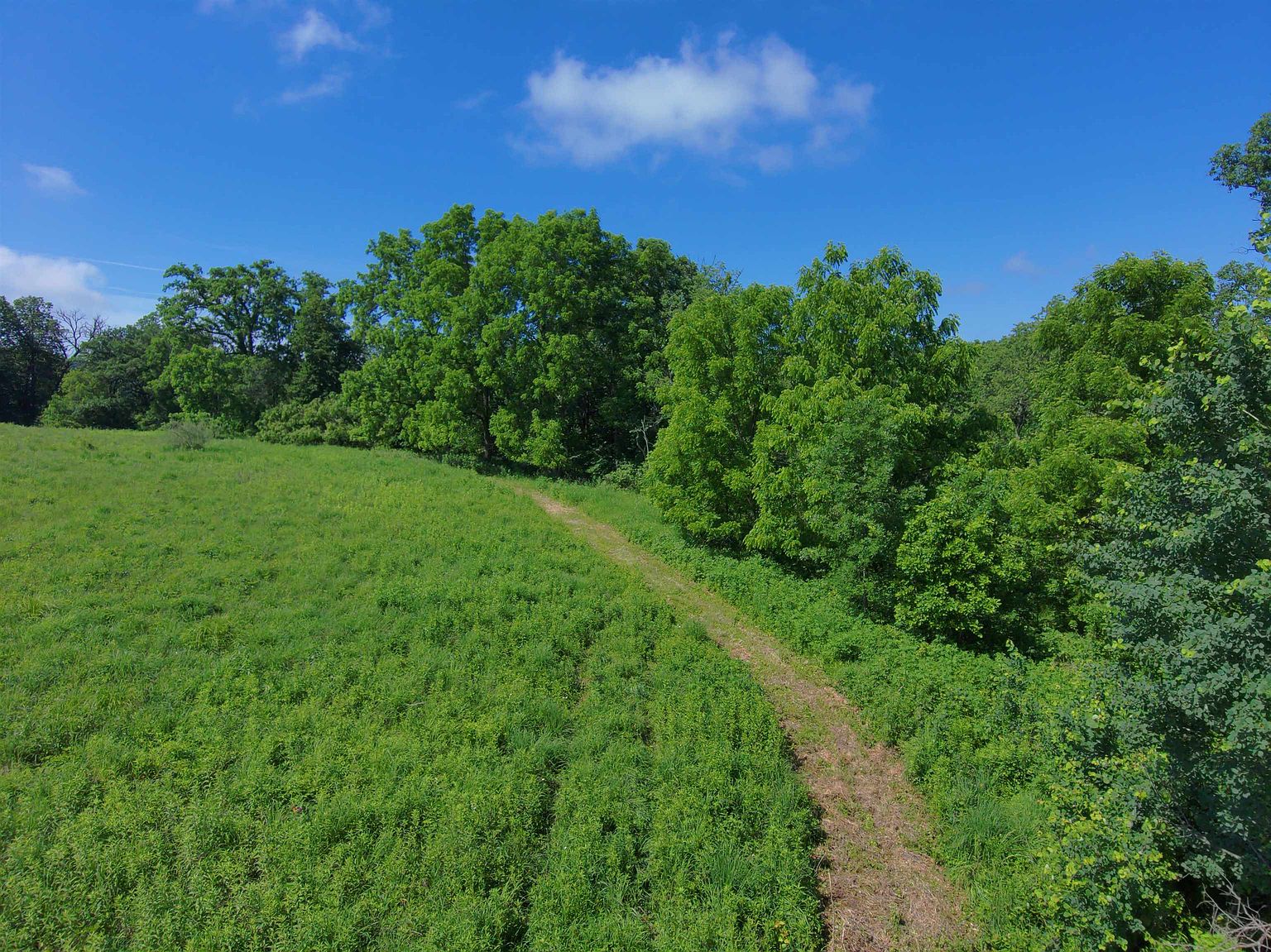 This aerial perspective captures a lush, green meadow bordered by a dense line of mature trees under a bright blue sky with scattered clouds. A narrow, winding dirt path cuts through the tall grass, leading toward the wooded area. The scene conveys a sense of expansive, natural beauty and privacy, ideal for those seeking a rural or recreational property.