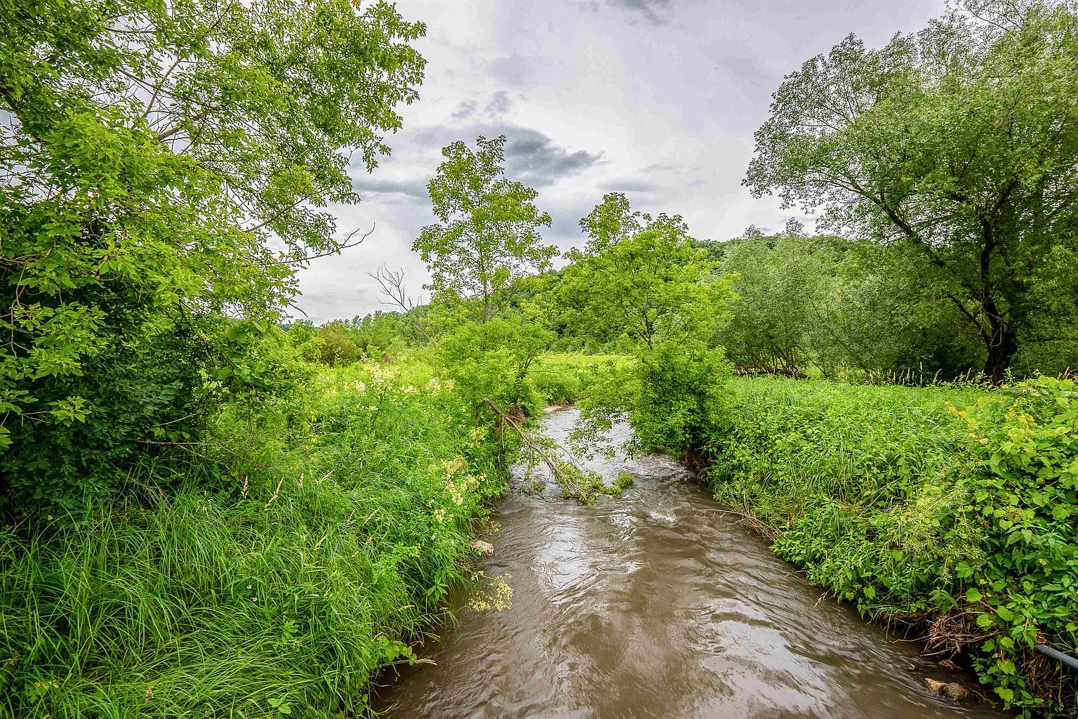 This scenic outdoor view captures a natural, flowing creek winding through a lush, green landscape. The scene is framed by dense foliage, tall grasses, and mature trees, creating a serene and private atmosphere. The perspective is at eye level, looking down the stream as it meanders into the distance under a cloudy, overcast sky.