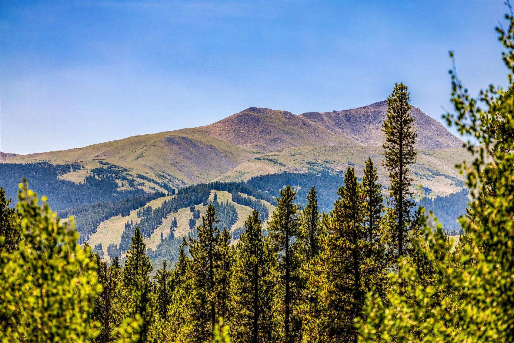 This scenic landscape view captures a majestic mountain range under a clear, bright blue sky. In the foreground, a dense forest of evergreen trees and vibrant green foliage frames the vista, providing a natural sense of depth. The middle ground reveals the distinct patterns of ski runs carved into the mountainside, suggesting a prime location for outdoor recreation.