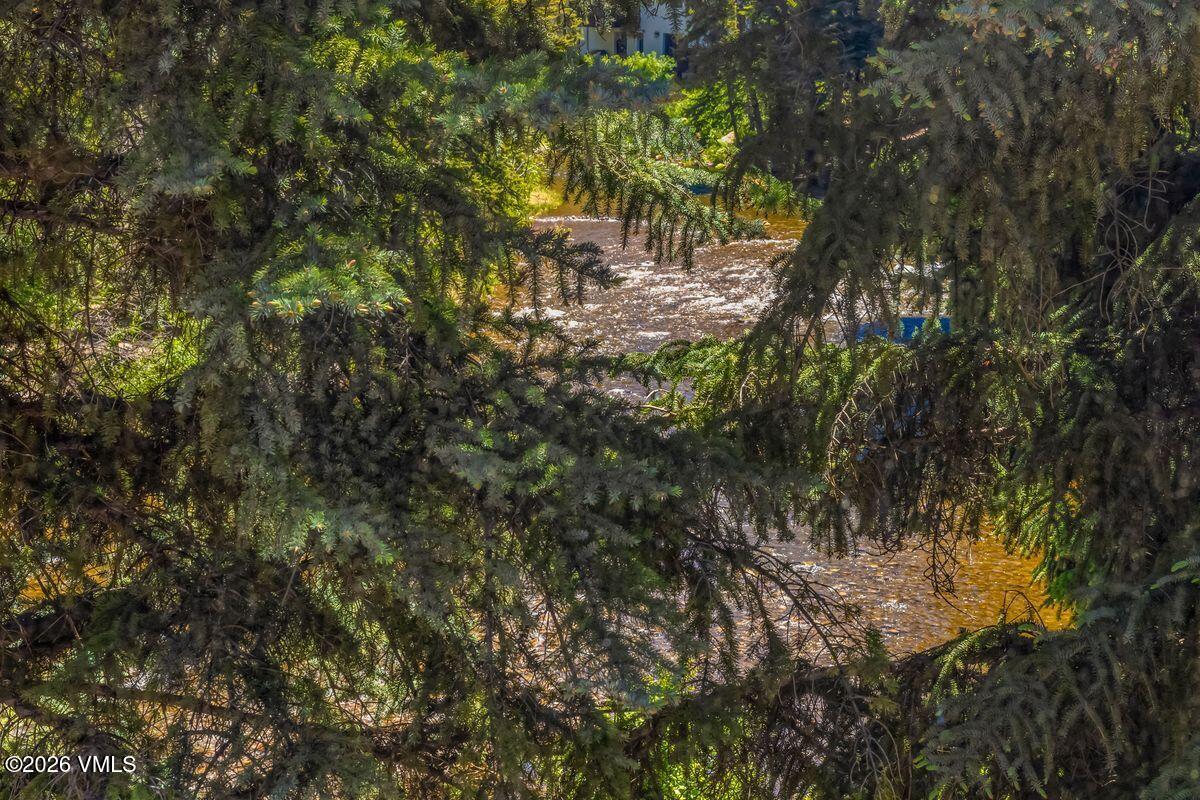This view captures a rushing river framed by the dense, dark green boughs of evergreen trees. The perspective is from an elevated position, looking through the foliage to the sun-dappled, moving water below. The scene evokes a sense of natural seclusion and peaceful wilderness.