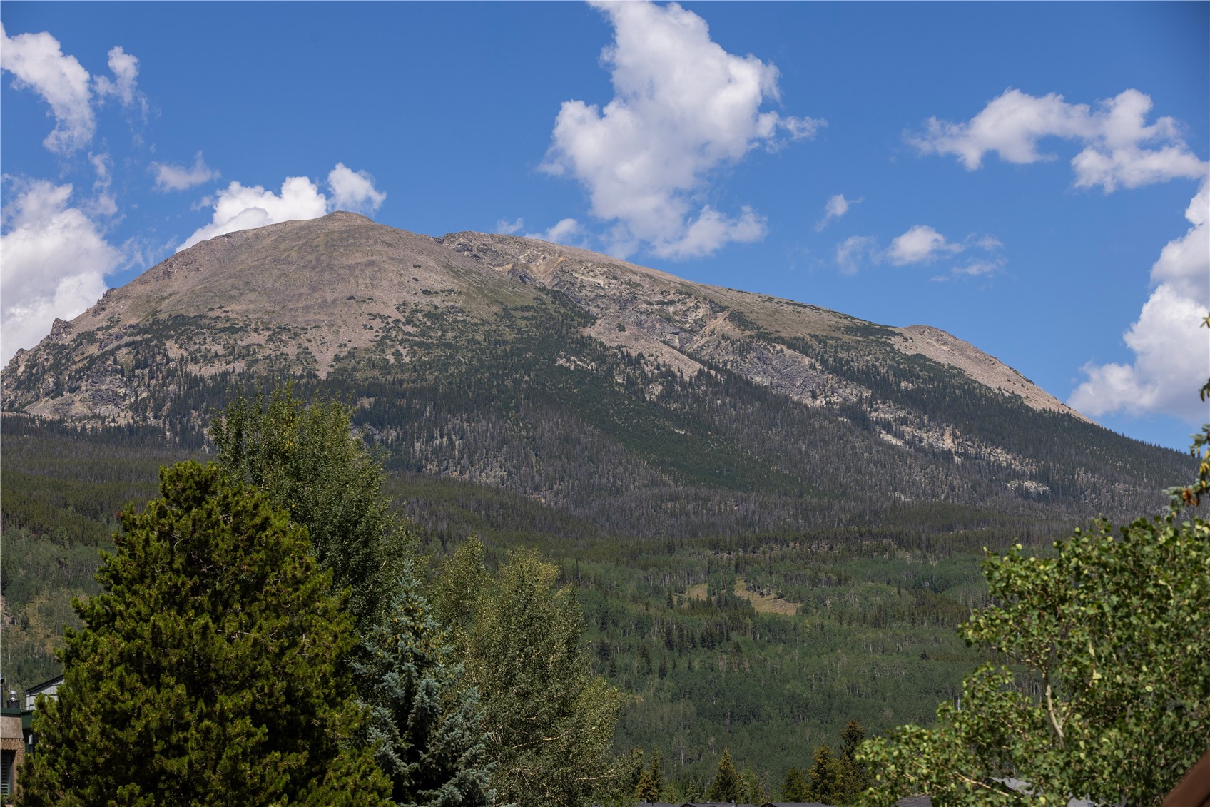 This image captures a scenic, wide-angle view of a prominent mountain peak under a bright blue sky with scattered white clouds. In the foreground, a dense forest of evergreen and deciduous trees frames the lower portion of the frame, providing a natural, lush contrast to the rugged, rocky terrain of the mountain slopes above. The perspective is from a low vantage point, emphasizing the scale and grandeur of the landscape, which would be a significant selling point for a property with mountain views.