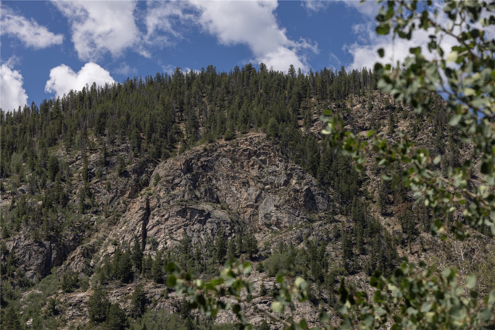 This image captures a scenic, natural landscape featuring a rugged, rocky mountain slope densely covered with evergreen trees. In the foreground, out-of-focus leaves from a deciduous tree frame the view, adding depth and a sense of being immersed in the environment. The sky above is a vibrant blue with scattered white clouds, highlighting the natural beauty and serene atmosphere of the location.