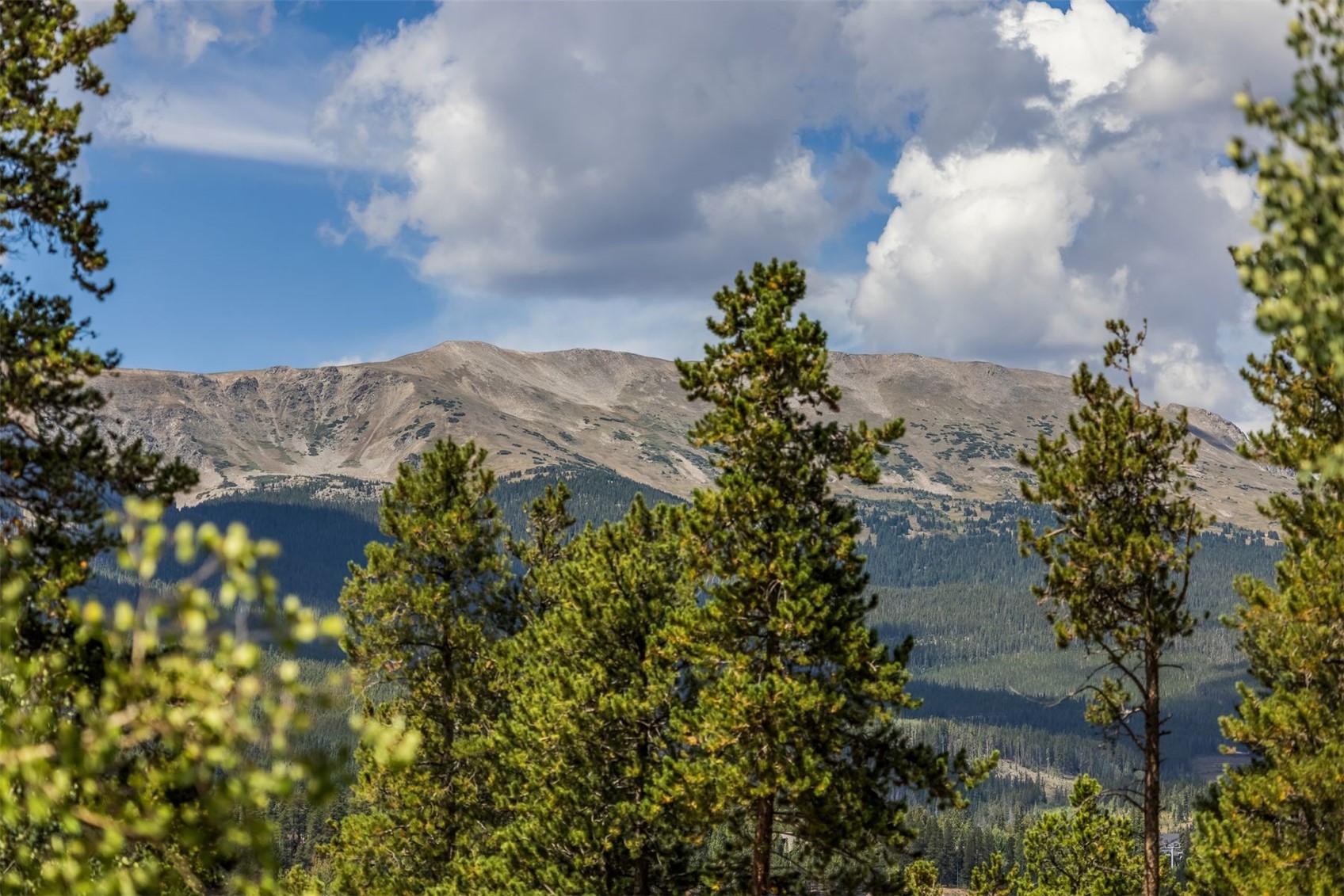 This scenic view captures a majestic, rugged mountain range under a bright blue sky filled with fluffy white clouds. In the foreground, a dense cluster of evergreen trees frames the landscape, providing a natural border that adds depth to the composition. The perspective is elevated, suggesting a vantage point from a high-altitude property or a scenic overlook.