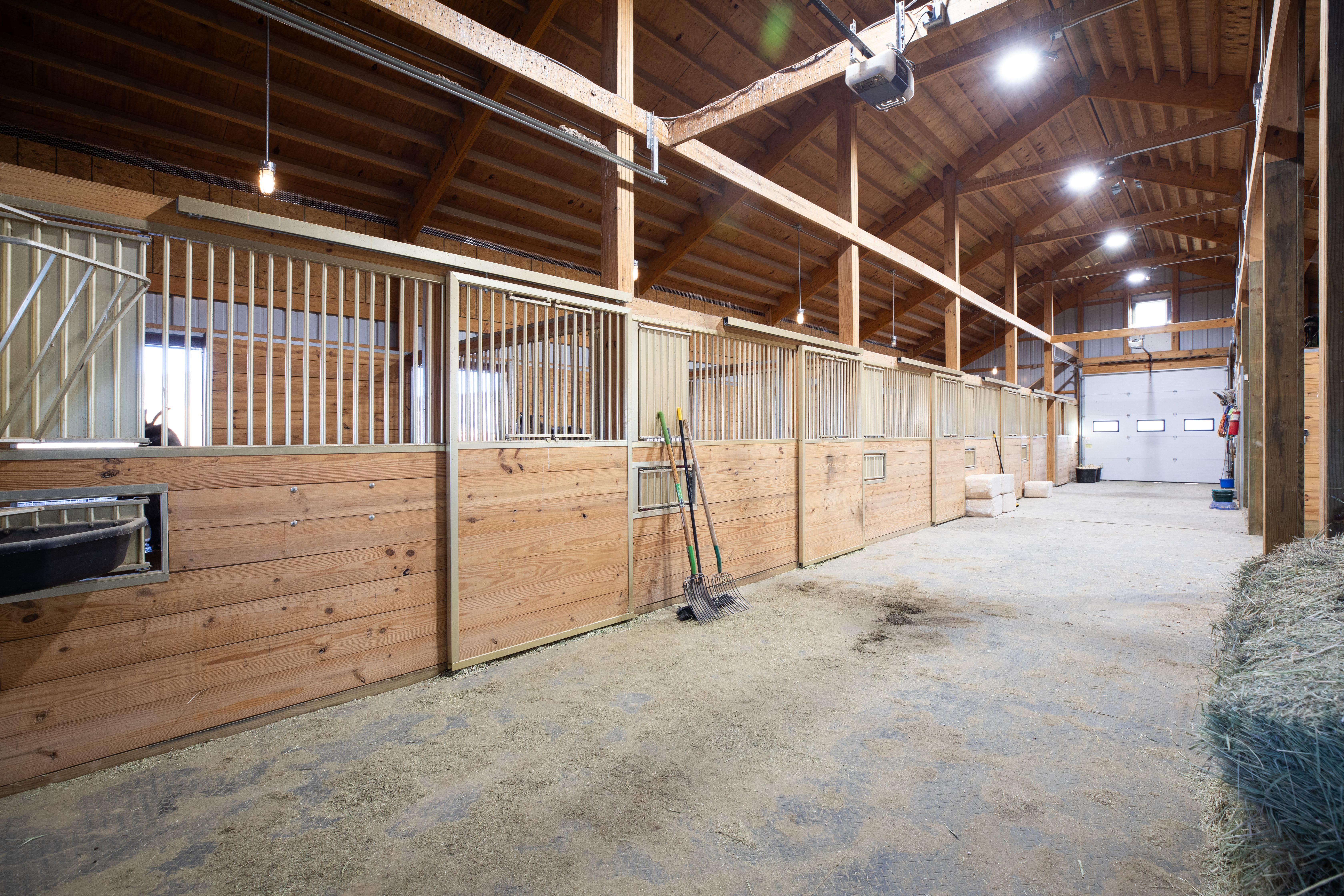 This interior view shows a professional horse stable featuring multiple individual wooden stalls with metal grid fronts and doors. The space is highlighted by high, exposed wooden beam ceilings, hanging pendant lighting, and a durable rubber-matted walkway, creating a practical and rustic atmosphere. The facility is well-maintained and includes necessary equipment like stall forks, making it ideal for equestrian use.