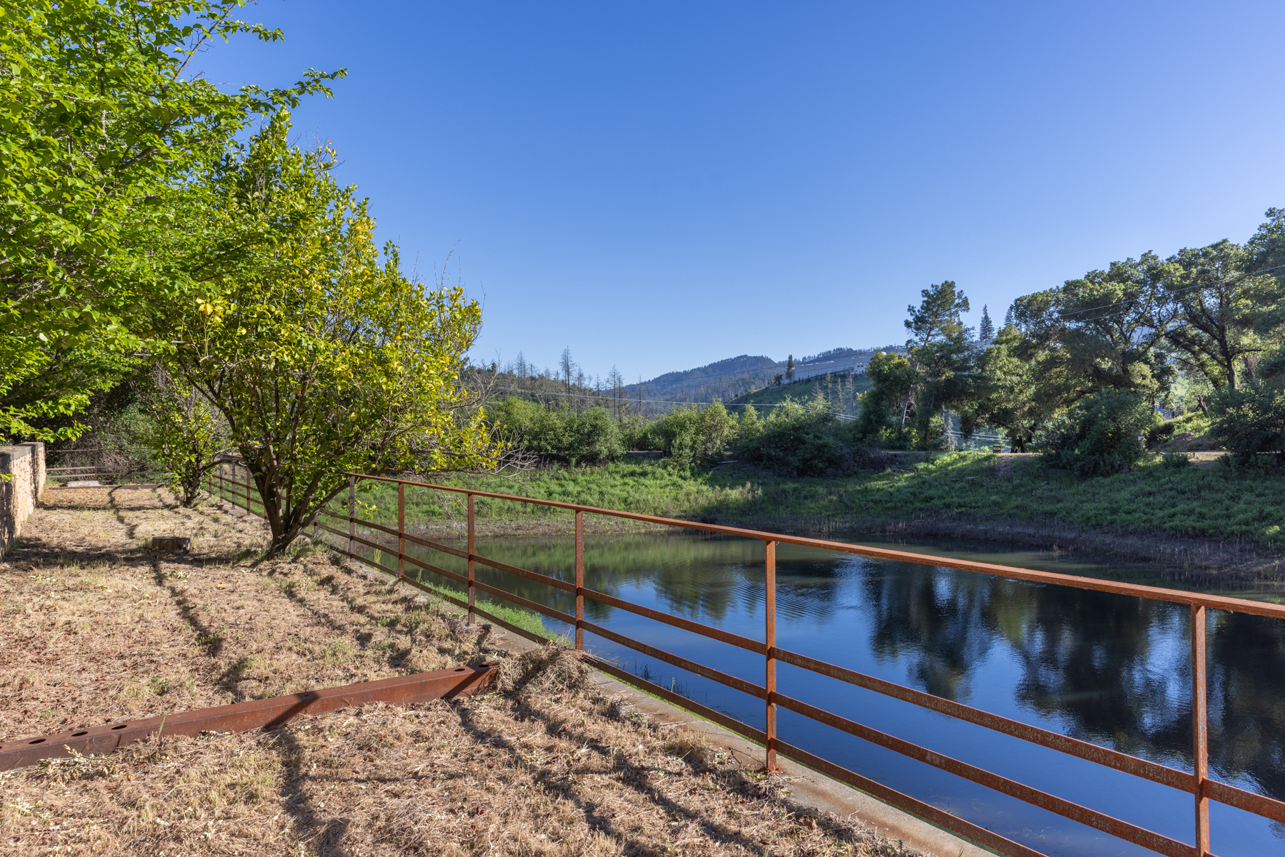 This scenic outdoor space features a tranquil pond bordered by a rustic metal railing, set against a backdrop of lush green trees and rolling hills under a clear blue sky. A mature tree with vibrant foliage stands near the water's edge, casting soft shadows over the dry, grassy bank. The perspective captures a peaceful, natural landscape that highlights the property's serene and expansive outdoor environment.