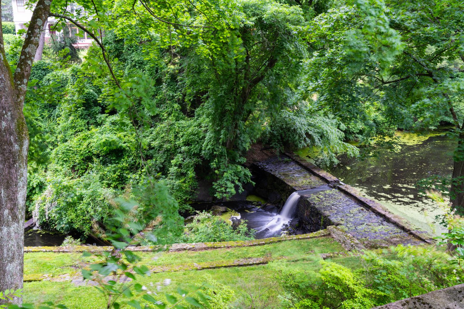 This scenic outdoor view captures a lush, landscaped garden featuring a stone-walled pond with a small, cascading waterfall. The perspective is elevated, looking down over the verdant green lawn and dense surrounding foliage that provides a private, tranquil atmosphere. The scene highlights a well-maintained natural water feature that serves as a peaceful focal point for the property.
