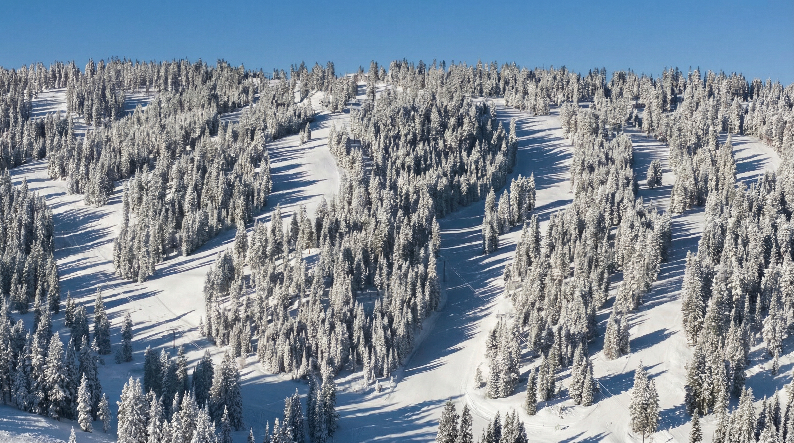 An aerial shot showcases a ski resort covered in snow and evergreen trees. Distinct ski runs weave through the forested landscape, offering a glimpse of the mountain's recreational potential. The clear blue sky enhances the wintery scene, presenting a serene and inviting environment for potential residents or visitors.