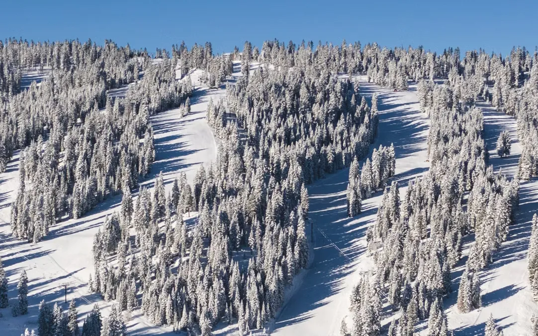 This aerial shot showcases a snow-covered hillside densely populated with trees. Visible ski runs cut through the landscape, emphasizing the potential for winter recreational activities. The stark contrast between the snow and the trees creates a picturesque and appealing scene, highlighting the property's location within a desirable winter sports area.