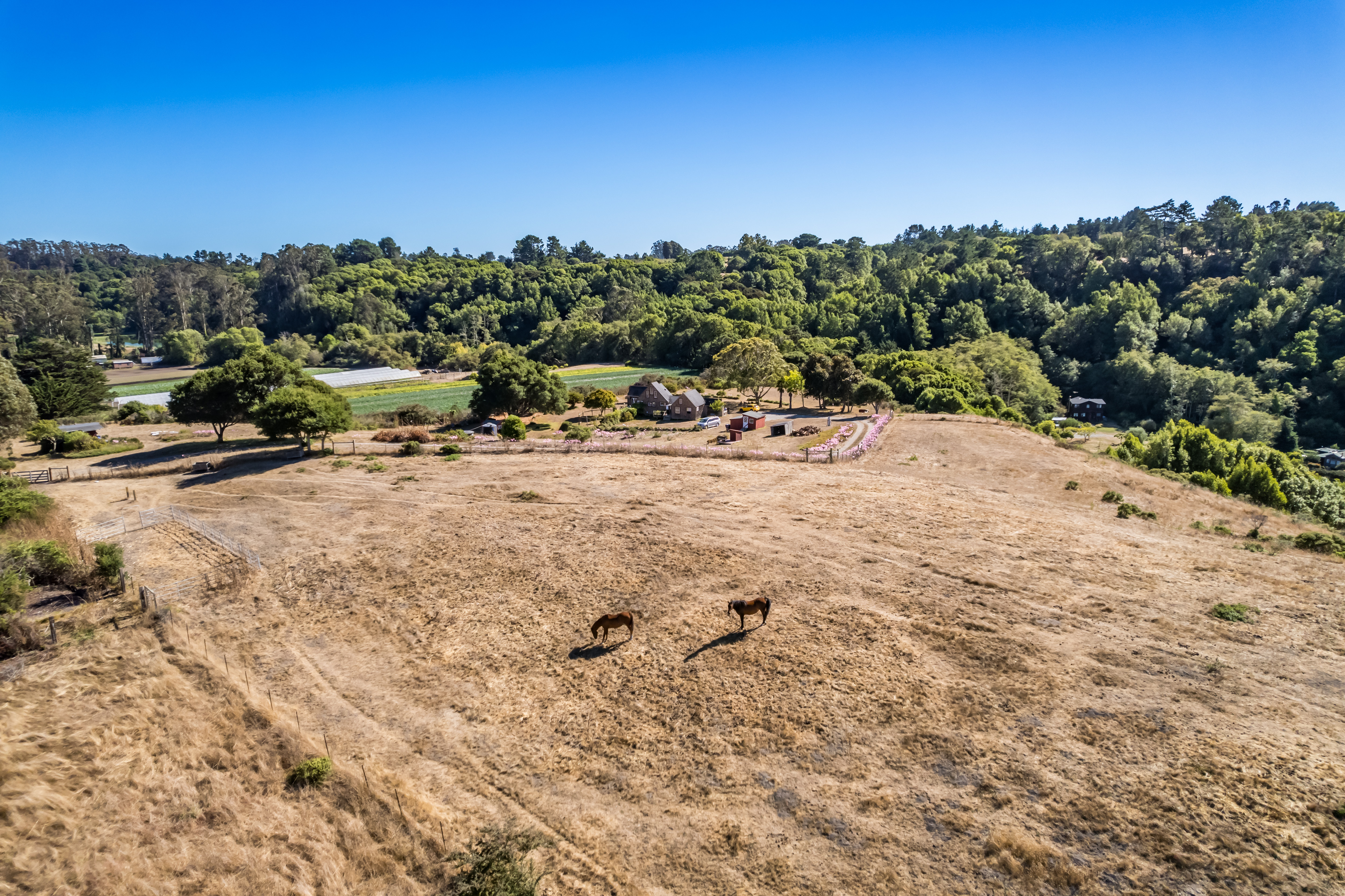 This panoramic aerial view captures a sprawling rural property set against a backdrop of dense forest and hills. The landscape features a large, sun-drenched pasture occupied by two horses, leading up to a farmstead complex with a traditional dwelling, outbuildings, and cultivated garden areas. The extensive open space and natural setting offer a tranquil and private country living experience.