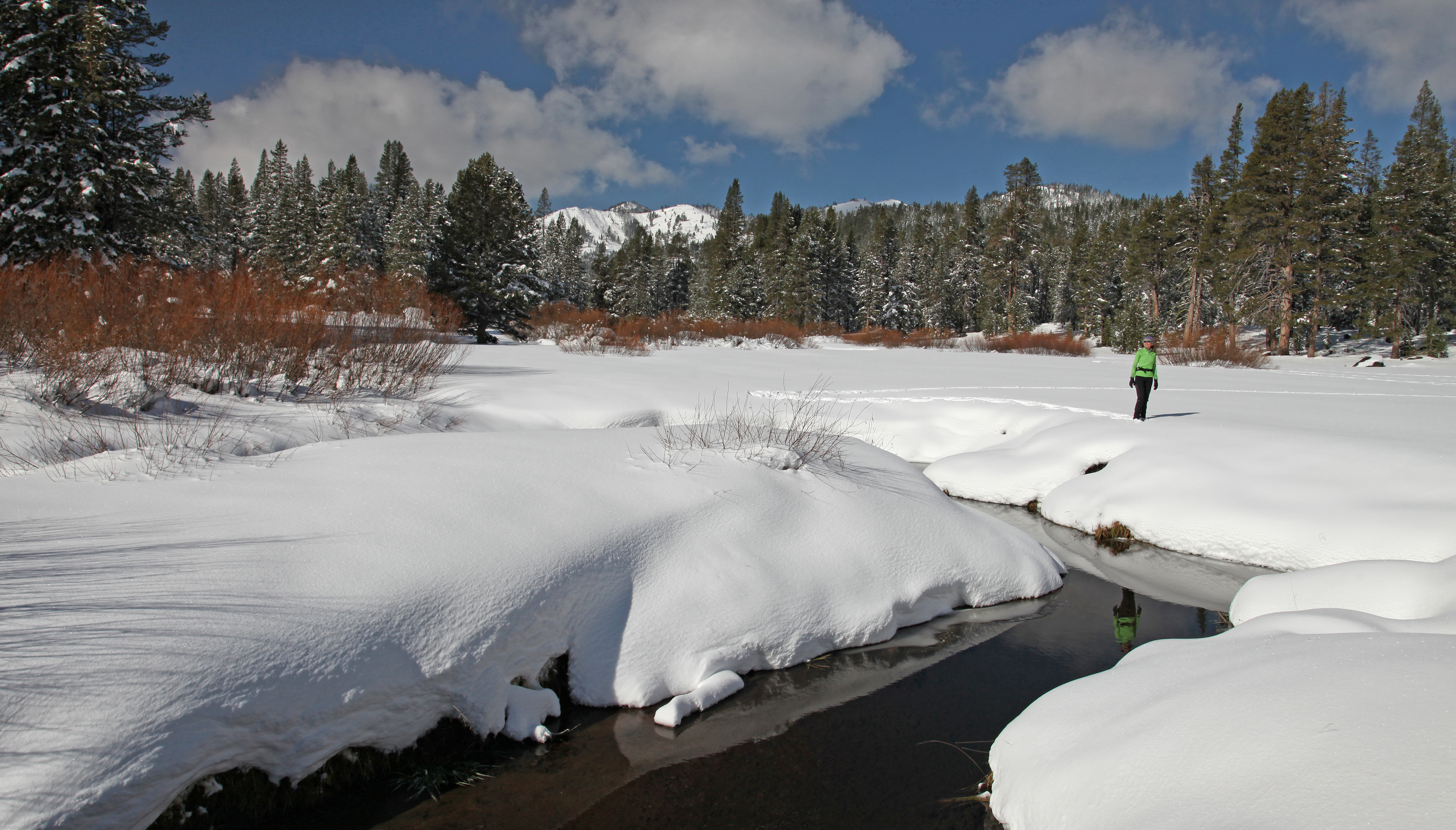 This image shows a serene winter landscape featuring a snow-covered yard or garden. A small stream flows through the area, reflecting the sky, and a person walks through the snow in the distance. Evergreen trees border the property, suggesting privacy and a natural setting.