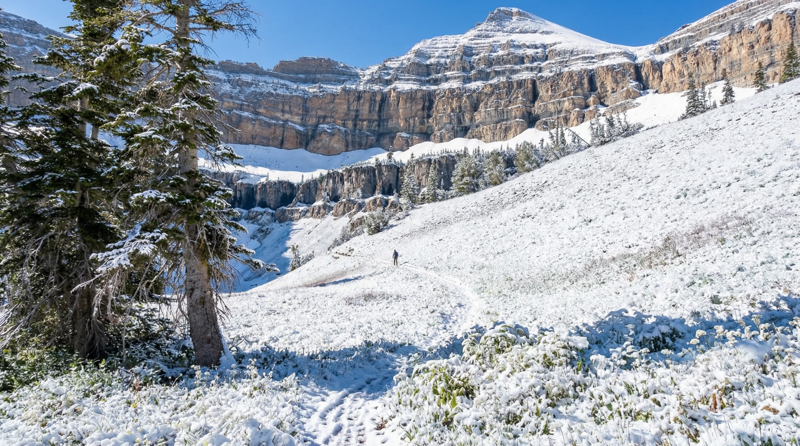 This showcases a snow-covered yard or garden area during the winter season. A lone figure can be seen walking along a path, highlighting the vastness of the landscape. The towering mountains in the background add to the stunning scenery, making it a desirable property surrounded by nature's beauty.