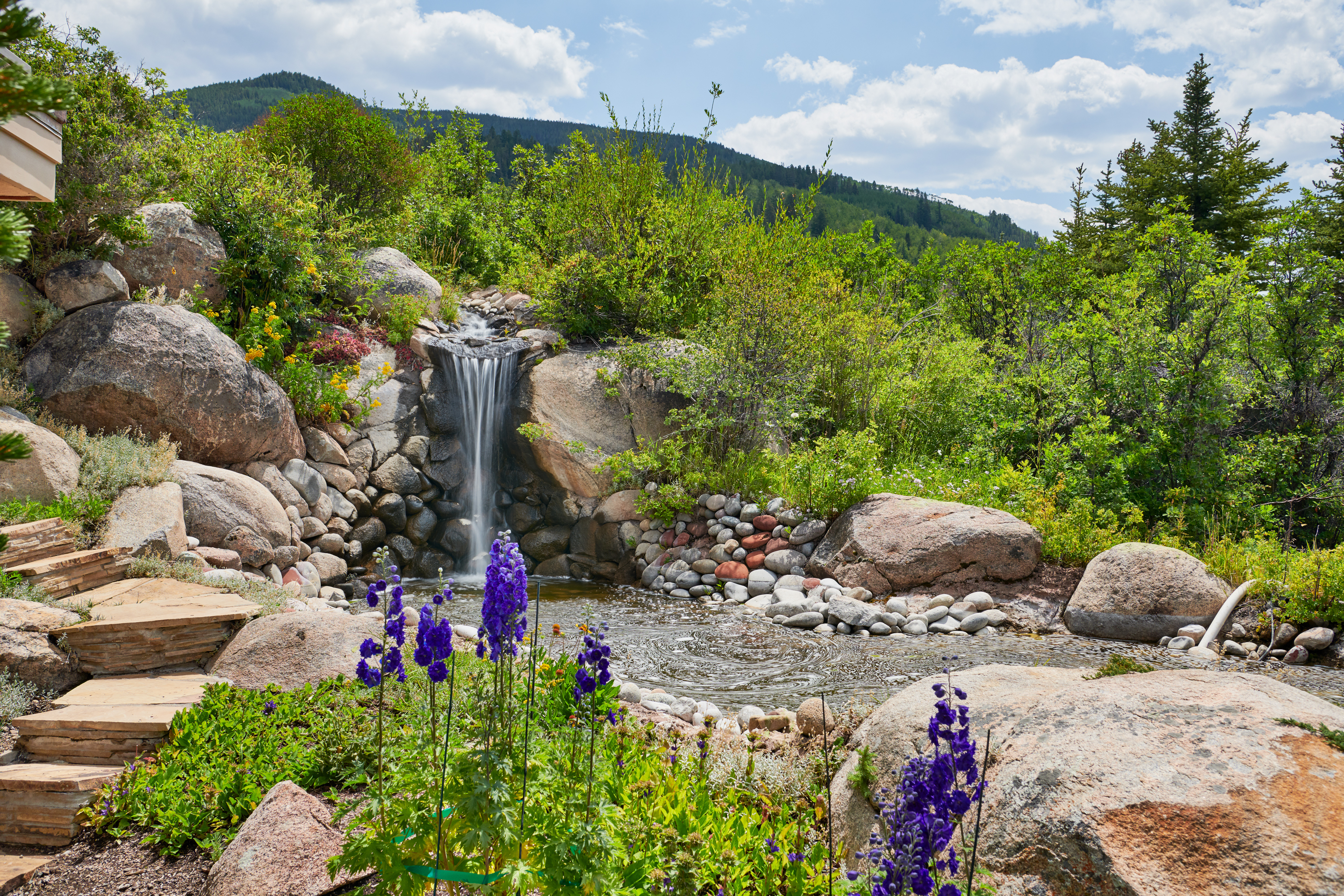 This serene backyard landscape features a naturalistic stone waterfall cascading into a small pond, surrounded by lush greenery and vibrant purple delphiniums in the foreground. A set of rustic stone steps leads down to the water feature, creating a peaceful, mountain-inspired retreat. The scene is framed by large boulders and dense forest foliage, offering a tranquil and private outdoor atmosphere.