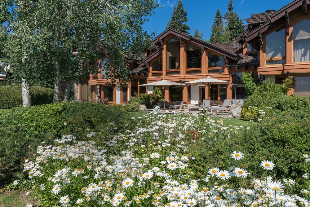 This image showcases a beautifully landscaped yard with a large, luxurious home in the background. The foreground is filled with white daisies, leading to lush green bushes and trees. The home features large windows and a wooden exterior, with outdoor seating visible on a patio, suggesting an inviting space for relaxation and entertainment.
