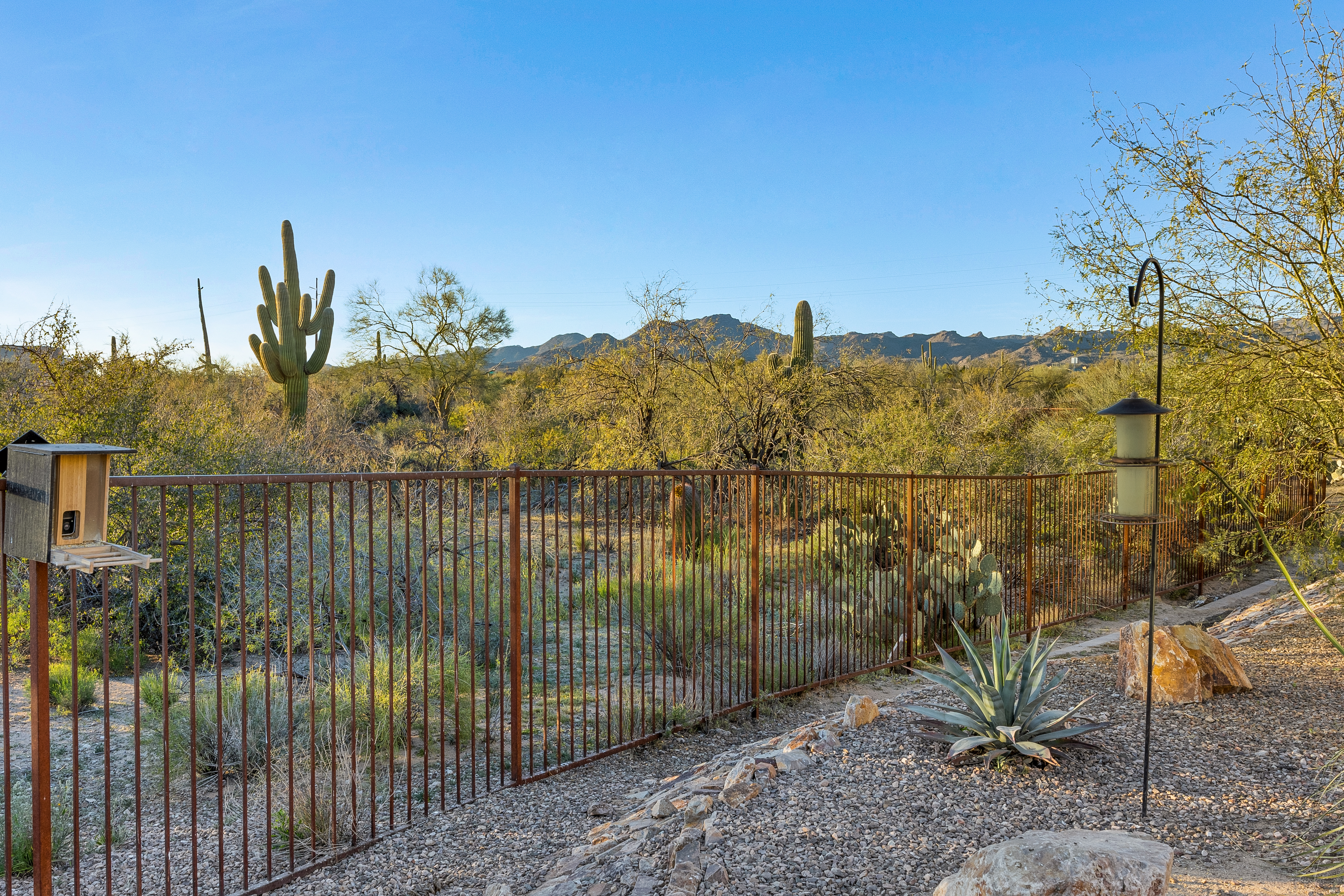 This image captures a serene desert backyard landscape, featuring a metal fence that separates the manicured gravel area from the natural, rugged terrain beyond. The scene is highlighted by iconic saguaro cacti, native desert shrubs, and a prominent agave plant in the foreground, all set against a clear blue sky and distant mountain range. A bird feeder stands to the left, adding a touch of wildlife-friendly charm to this peaceful outdoor space.