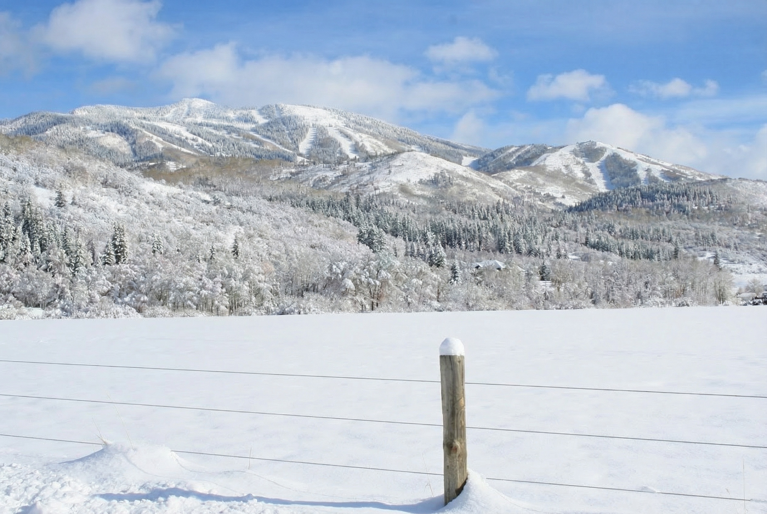 A winter landscape showcases a snow-covered yard with a wooden fence post in the foreground. Hills and evergreen trees covered in snow provide a scenic backdrop. The image evokes a sense of serenity and highlights the property's potential for winter recreation and natural beauty.