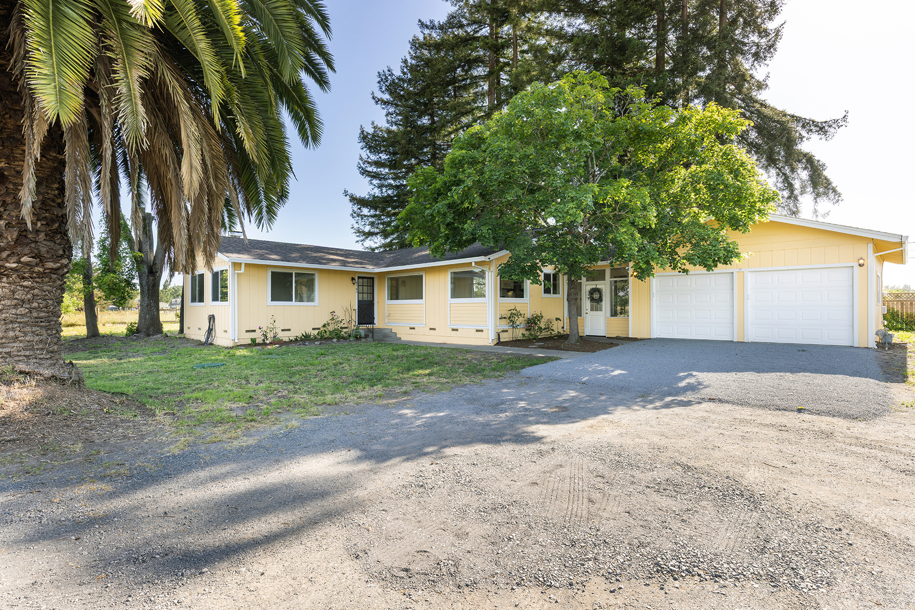 This single-story, yellow-sided ranch-style home features a two-car garage and a gravel driveway leading up to the entrance. A large, mature palm tree stands prominently on the left, while a leafy green tree shades the front of the house, creating a welcoming and established curb appeal. The property is set against a backdrop of tall evergreen trees, suggesting a spacious, semi-rural lot.
