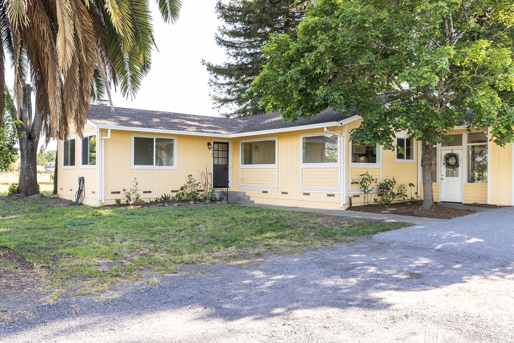 This single-story home features a bright yellow exterior with vertical siding and a dark shingled roof. The front facade includes a central dark-colored entry door, multiple large windows, and a gravel driveway leading to the side of the house. A mature tree provides shade over the right side of the home, while a large palm tree stands prominently on the left, creating a welcoming and established curb appeal.