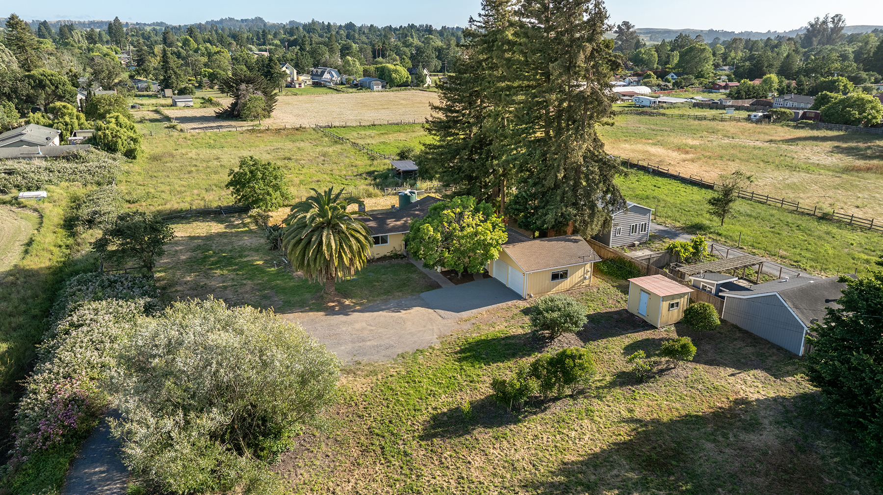 This high-angle aerial perspective captures a single-story yellow home nestled on a spacious, rural property. The grounds feature a large palm tree, a detached garage, a small shed, and expansive grassy fields surrounded by mature trees and fencing. The scene conveys a peaceful, semi-rural lifestyle with ample outdoor space and a clear view of the surrounding landscape.