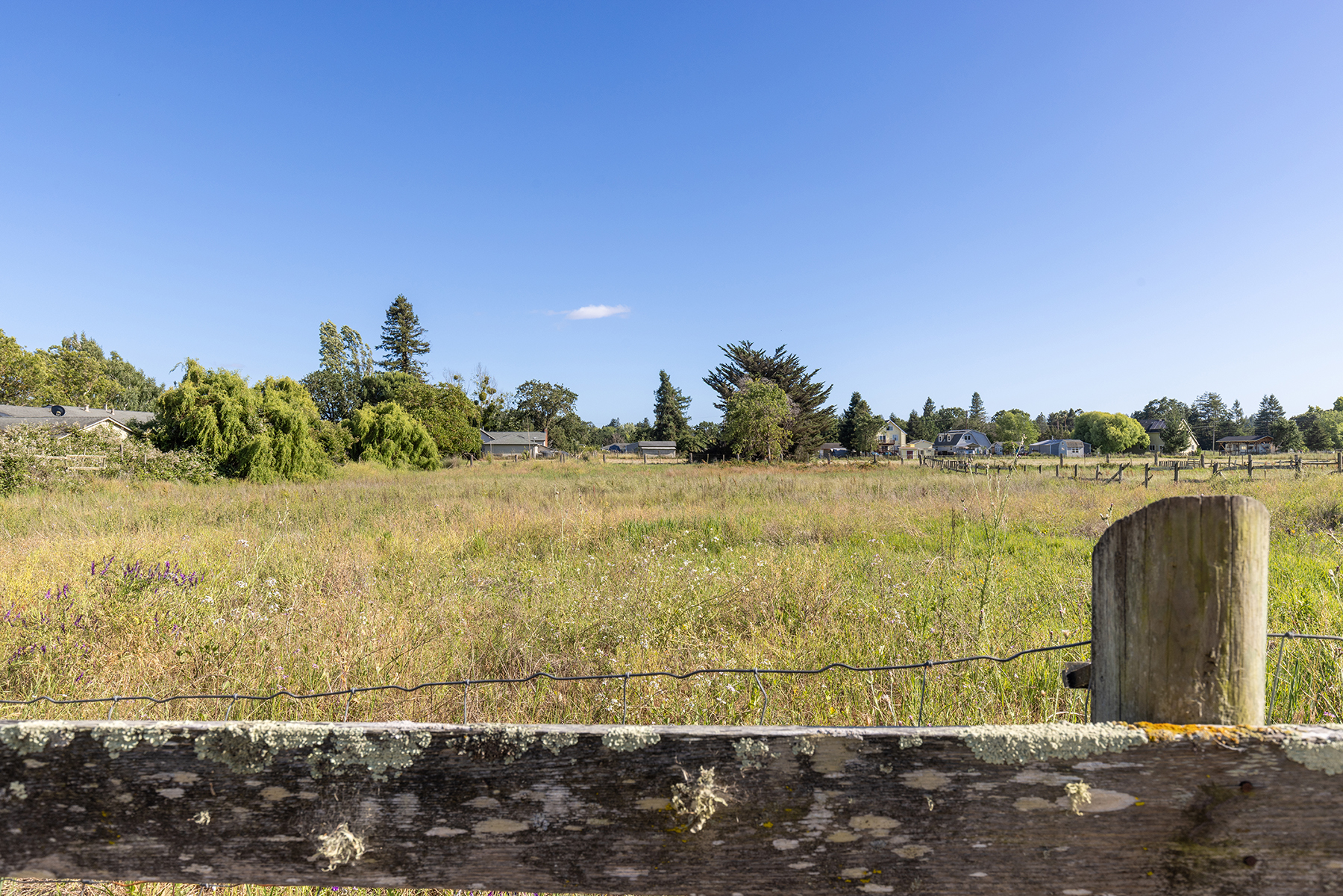 This image captures a wide, open field of tall, sun-drenched grasses and wildflowers, framed in the foreground by a weathered wooden fence post and wire fencing. In the distance, a cluster of mature trees and several residential homes are visible under a clear, expansive blue sky. The perspective is from a low angle, emphasizing the vastness of the rural landscape and the peaceful, natural setting.