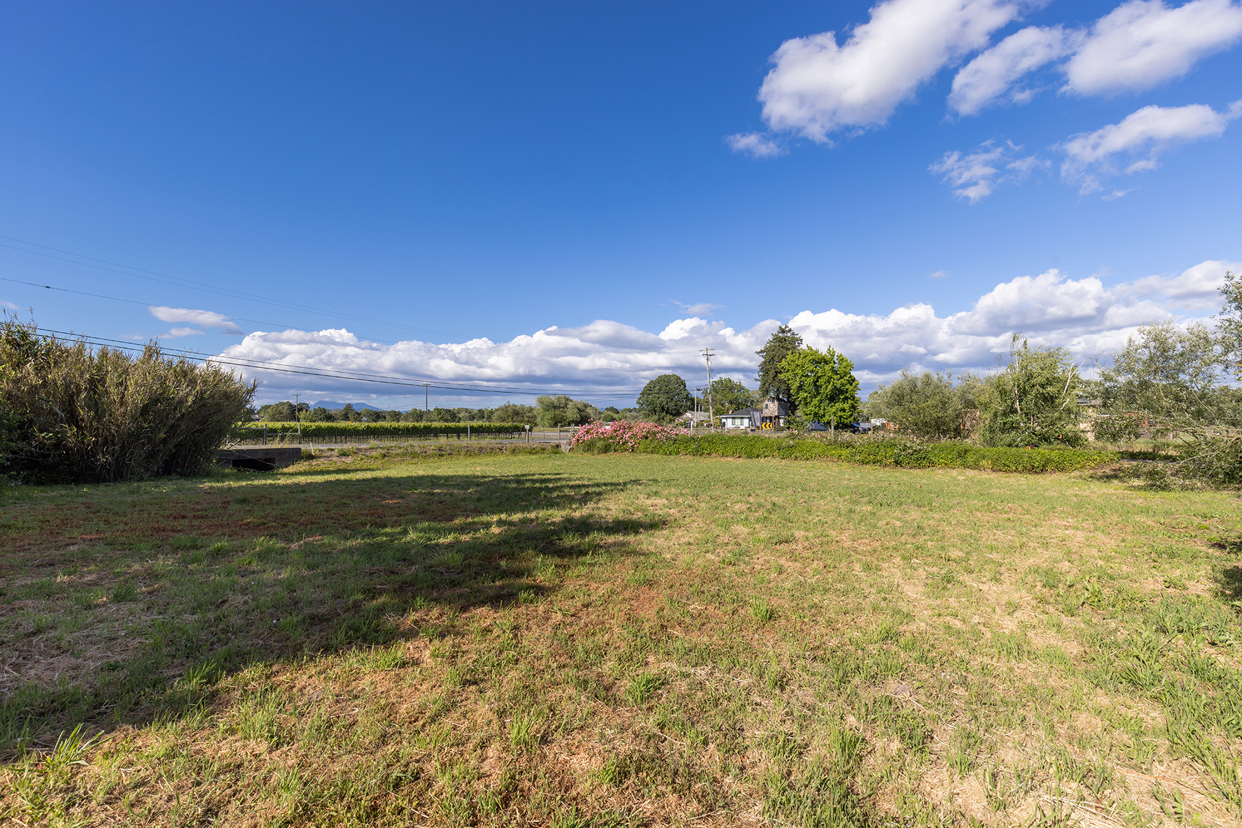 This expansive, sun-drenched lot features a large, open grassy field that stretches toward a distant treeline and a rural road. The scene is framed by mature shrubs and trees, with a clear blue sky filled with scattered white clouds overhead. The perspective is a wide-angle ground-level shot, emphasizing the generous size and potential of the open land.