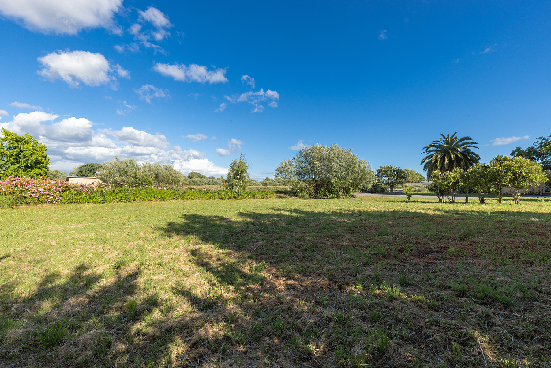This expansive, sun-drenched backyard features a large, open grassy lawn framed by mature trees and lush perimeter landscaping. A vibrant hedge of pink flowering bushes adds a touch of color to the left, while a prominent palm tree stands on the right, creating a serene and private outdoor setting. The wide-angle perspective captures the vastness of the property under a clear blue sky, highlighting its potential for outdoor recreation or landscaping projects.